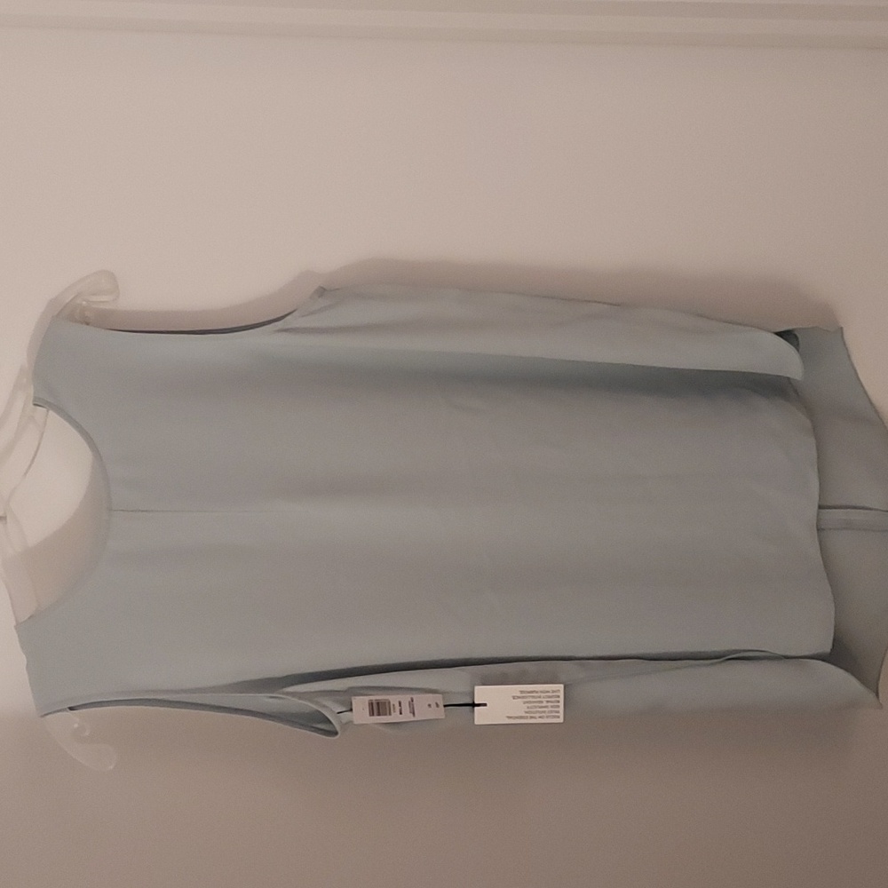 NWT Babaton mint green top L